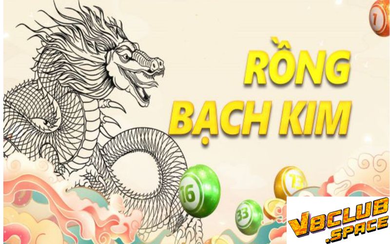 Nuôi rồng bạch kim 3 ngày